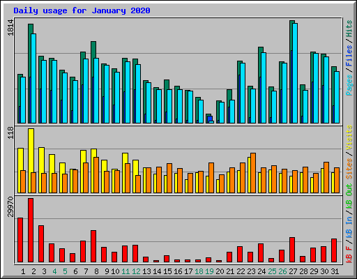 Daily usage for January 2020