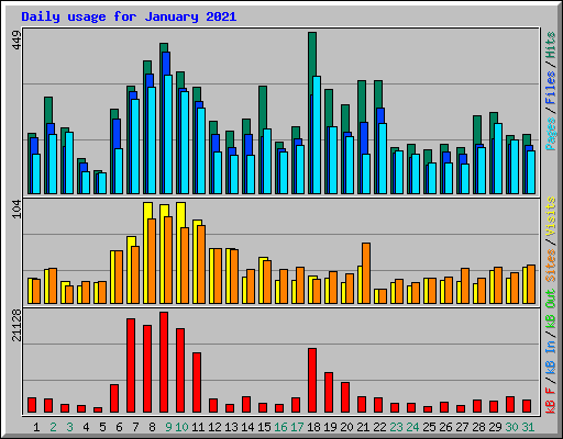 Daily usage for January 2021