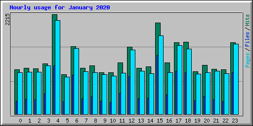 Hourly usage for January 2020