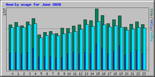 Hourly usage for June 2020