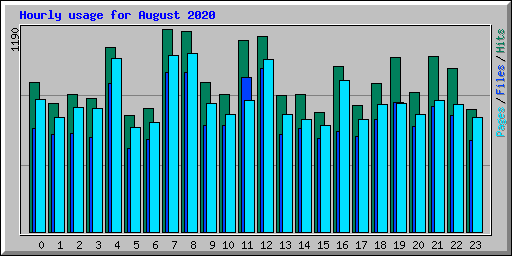 Hourly usage for August 2020