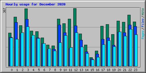 Hourly usage for December 2020