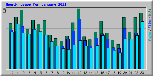 Hourly usage for January 2021