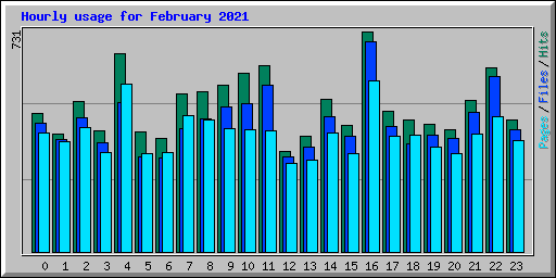 Hourly usage for February 2021