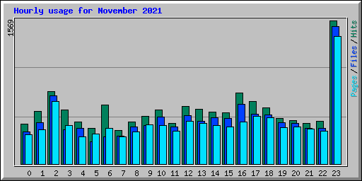 Hourly usage for November 2021