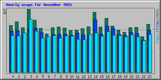 Hourly usage for December 2021