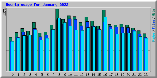 Hourly usage for January 2022