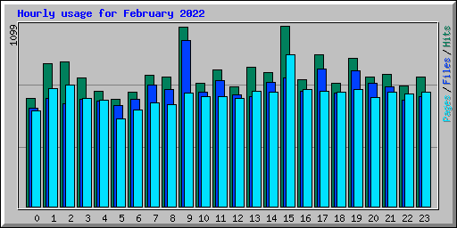 Hourly usage for February 2022